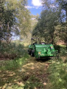 Vegetation Clearance